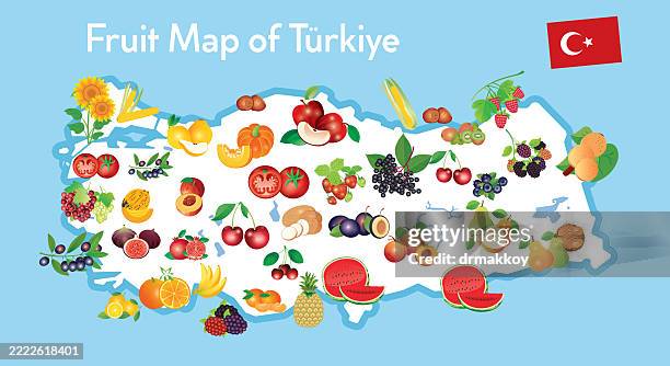 ilustrações, clipart, desenhos animados e ícones de mapa de frutas de peru - caqui fruta tropical