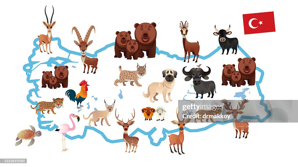 Turkey Wildlife Map