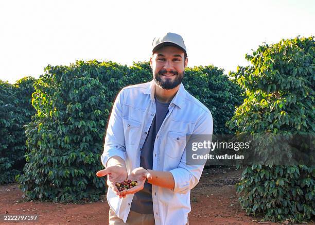 uomo sorridente che tiene le ciliegie del caffè sulla fattoria del caffè - attività agricola foto e immagini stock