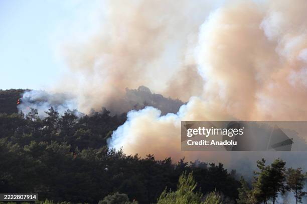Syria The Fire Rises Smoke and flame rises from the area as firefighters continue to... News ...