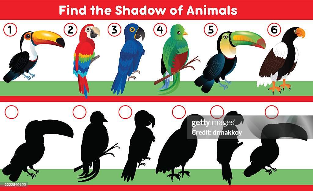 Shadow Puzzle for Kids – Birds