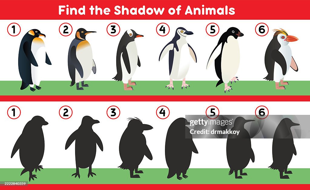 Shadow Puzzle for Kids – Penguins