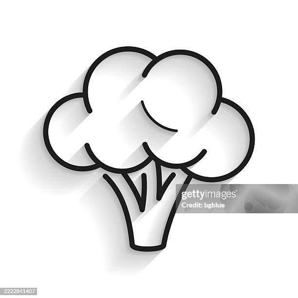broccoli. line icon with long shadow on white background - cabbage isolated stock illustrations