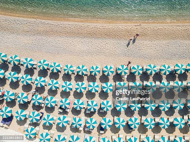 litorale italiano con file di ombrelloni - ombrellone da spiaggia foto e immagini stock