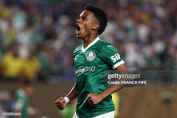 Palmeiras' Brazilian forward Estevao Willian celebrates scoring his team's first goal during the FIFA Club World Cup 2025 quarterfinal football match...