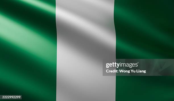 nigeria flag close up - nigeria flag stock pictures, royalty-free photos & images
