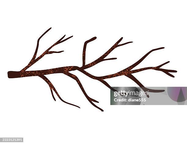autumn bare branch isolated on a transparent background - bare tree stock illustrations