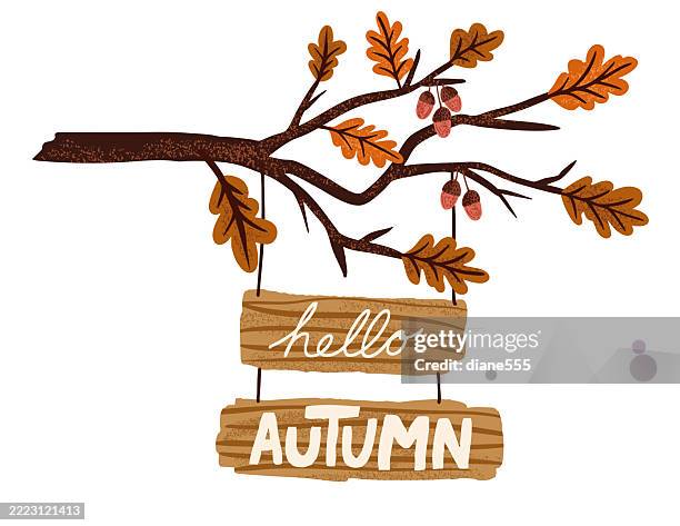 autumn oak branch with hello autumn sign isolated on a transparent background - acorn stock illustrations