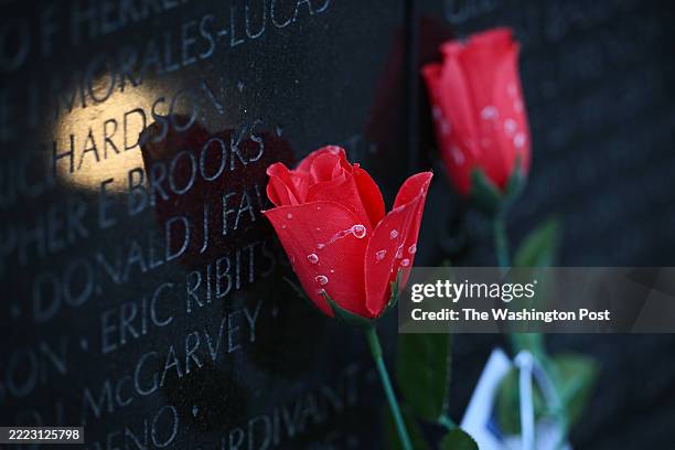 Artificial flowers are seen at the Vietnam Veterans Memorial as people gather in the area for Memorial Day on Monday May 26, 2025 in Washington, DC.