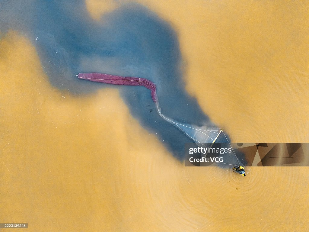Brine Shrimp Harvested In Yuncheng Salt Lake