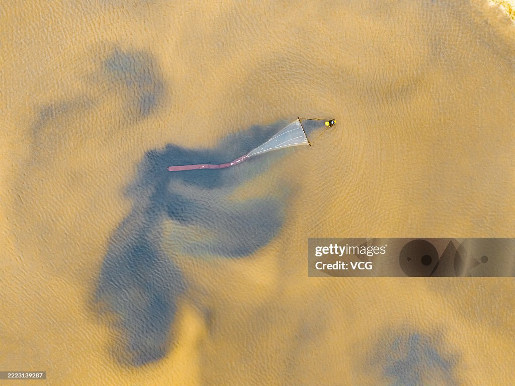 Brine Shrimp Harvested In Yuncheng Salt Lake