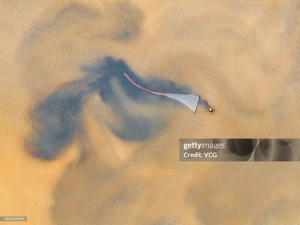 Brine Shrimp Harvested In Yuncheng Salt Lake
