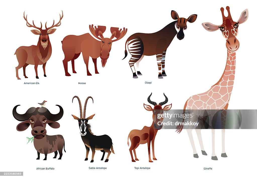 Hoofed Mammals