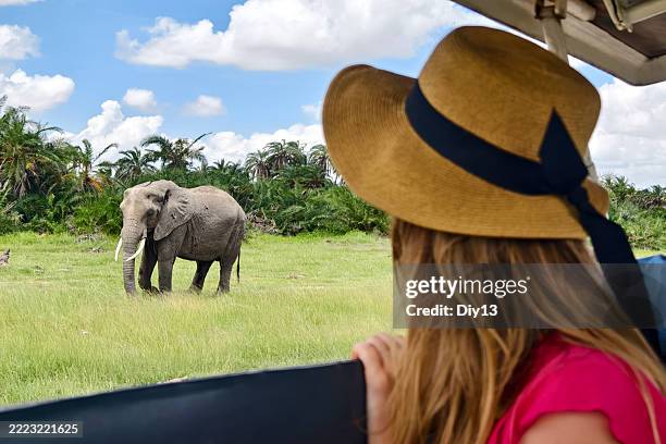 3 Days Budget Safari Best of Ngorongoro /Tarangire 