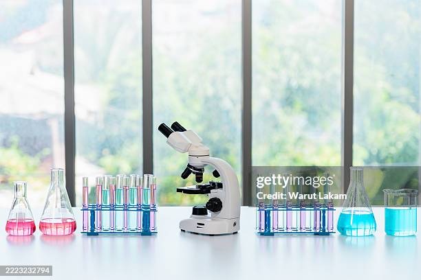 symmetrical arrangement of a microscope and laboratory glassware on a bench in front of a window. the harmony of science and nature: a modern research lab with a view of green foliage. - laboratory glassware stock pictures, royalty-free photos & images
