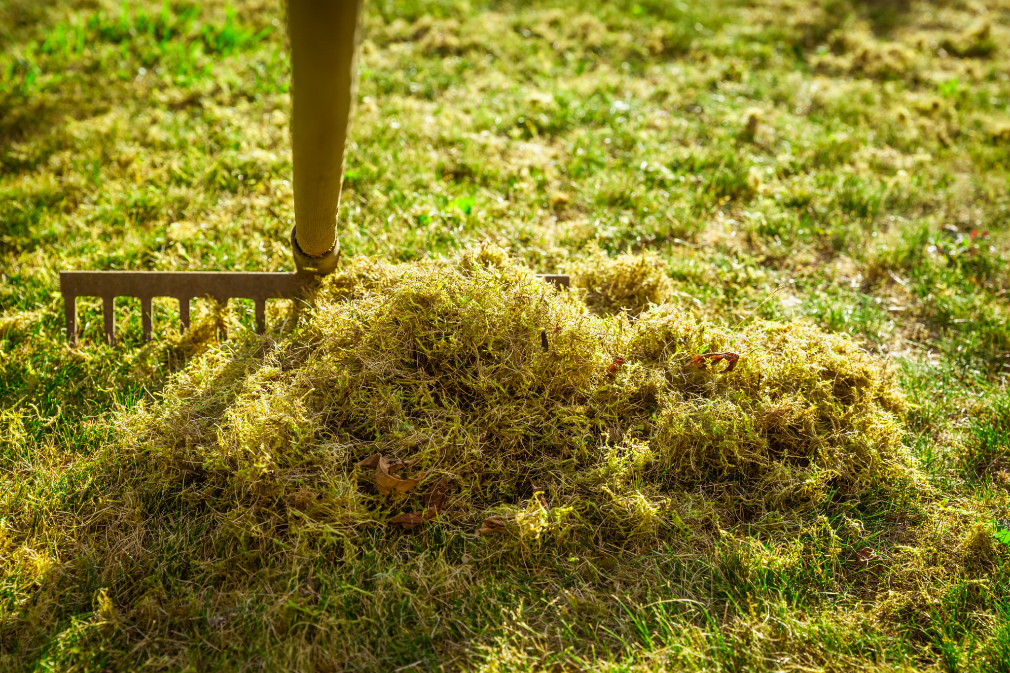 aerating soil