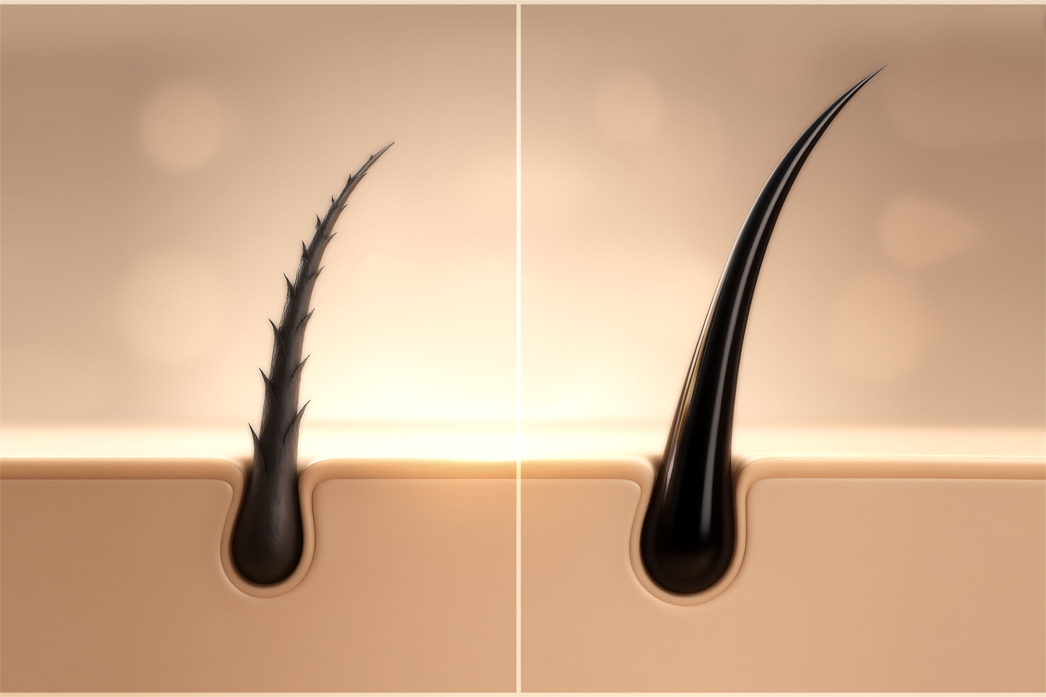 hair test