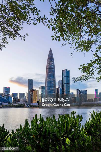 modern city at dusk - shenzhen stock pictures, royalty-free photos & images