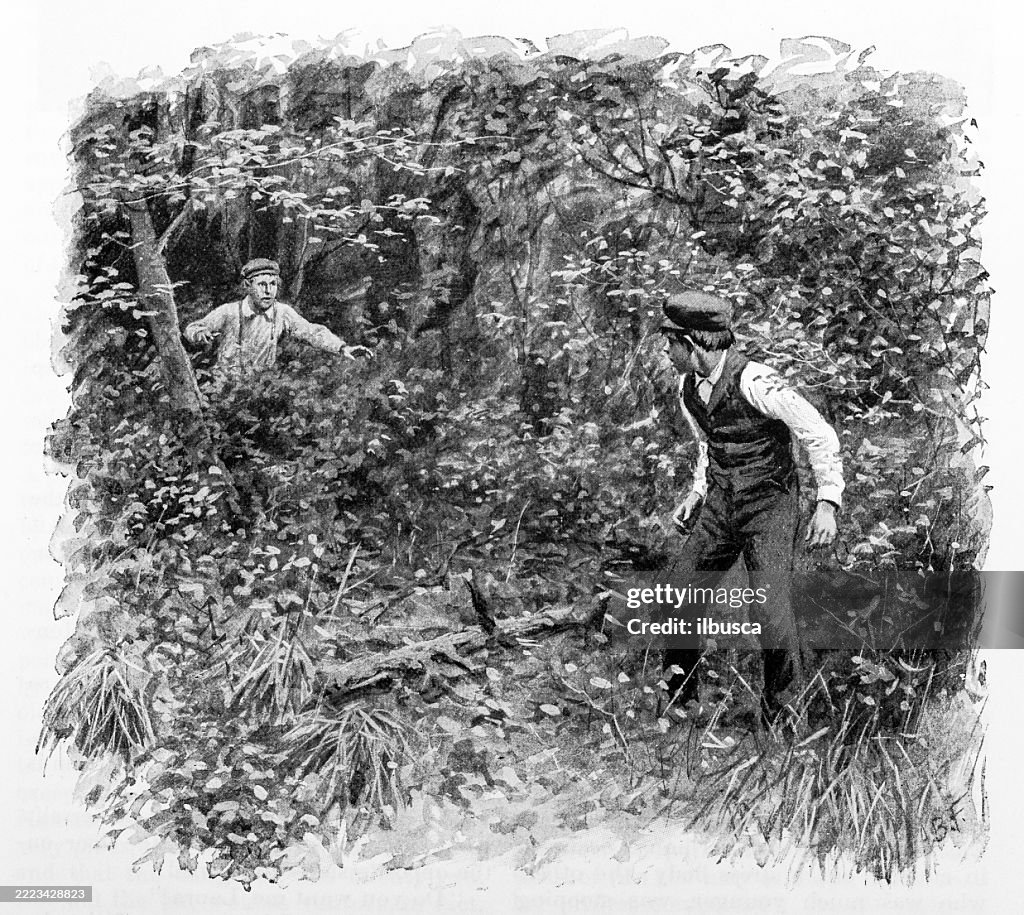 Tom Sawyer and Huckleberry Finn