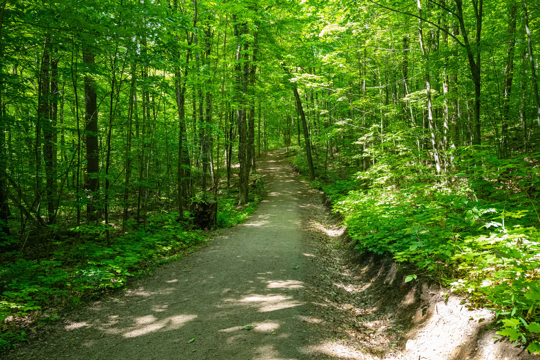 quebec road