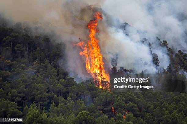 Large flames leap from the trees as a wildfire burns through forested areas near the towns of Xerta and Paüls on July 8, 2025 in the Tarragona...