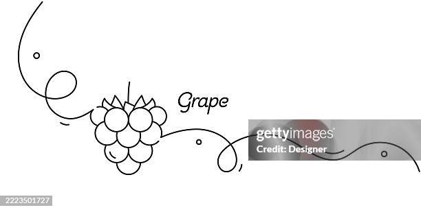 one continuous line drawing of grape icon. single line vector illustration - vineyard stock illustrations