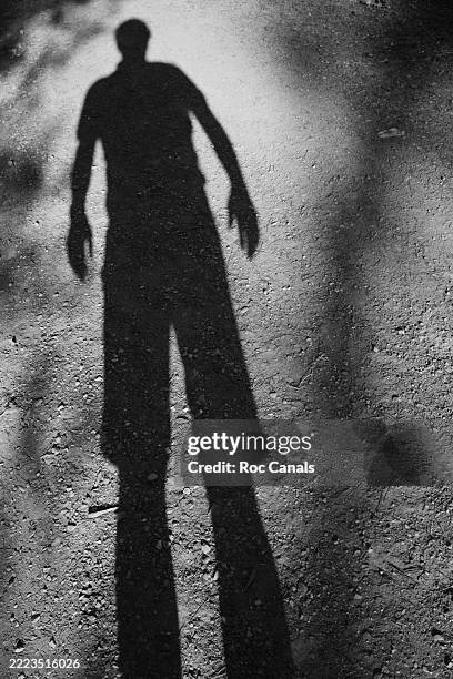shadow of a person cast on a dirt path in sunlight, black and white - schaduw in het middelpunt stockfoto's en -beelden