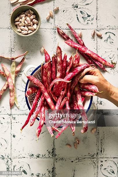 fresh borlotti beans in colander with human element - vergiet stockfoto's en -beelden