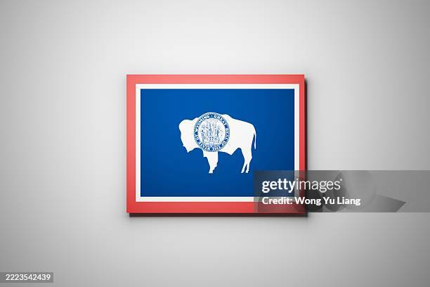 wyoming state flag with map - continents shapes cartoon stock pictures, royalty-free photos & images