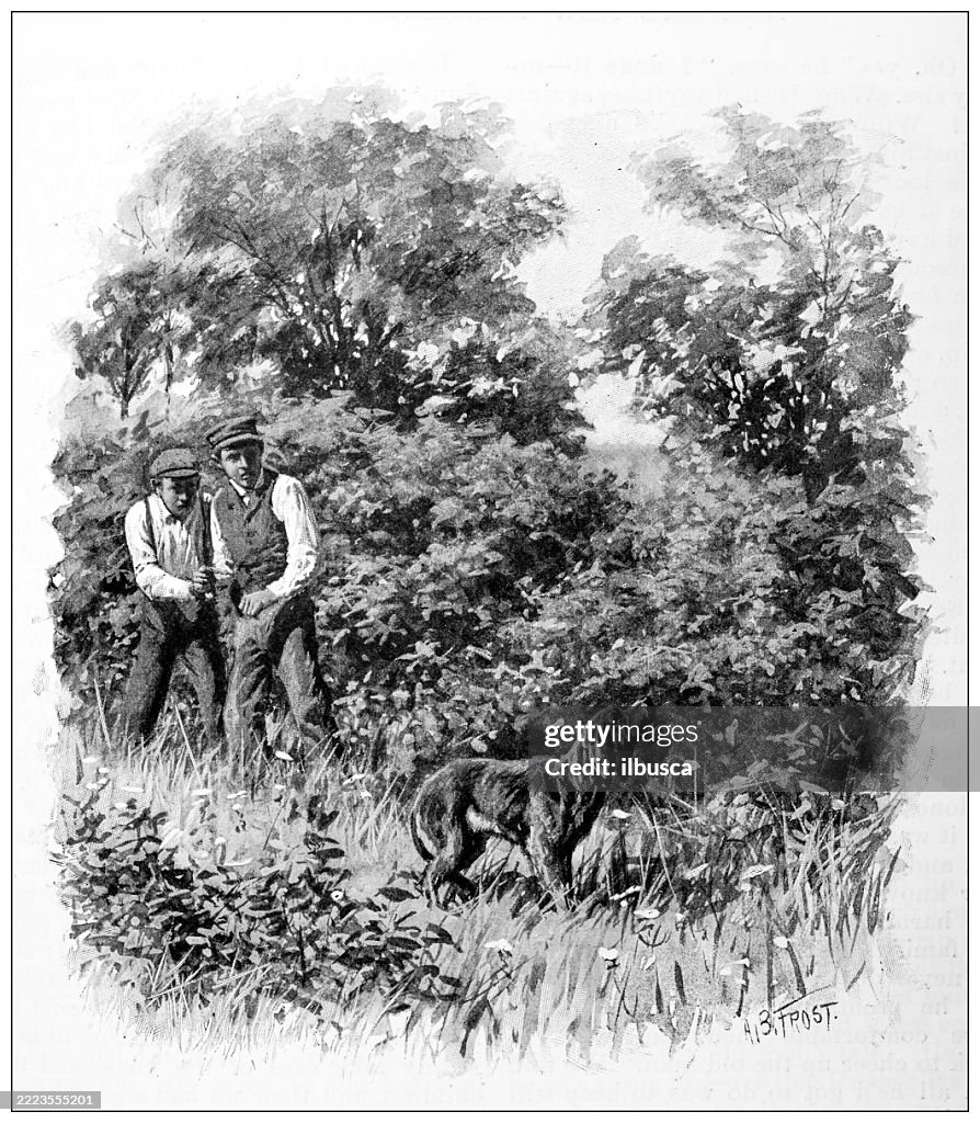 Tom Sawyer and Huckleberry Finn