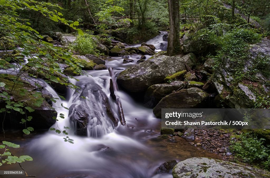 Waterfall at Anna Ruby Falls in Helen,Georgia