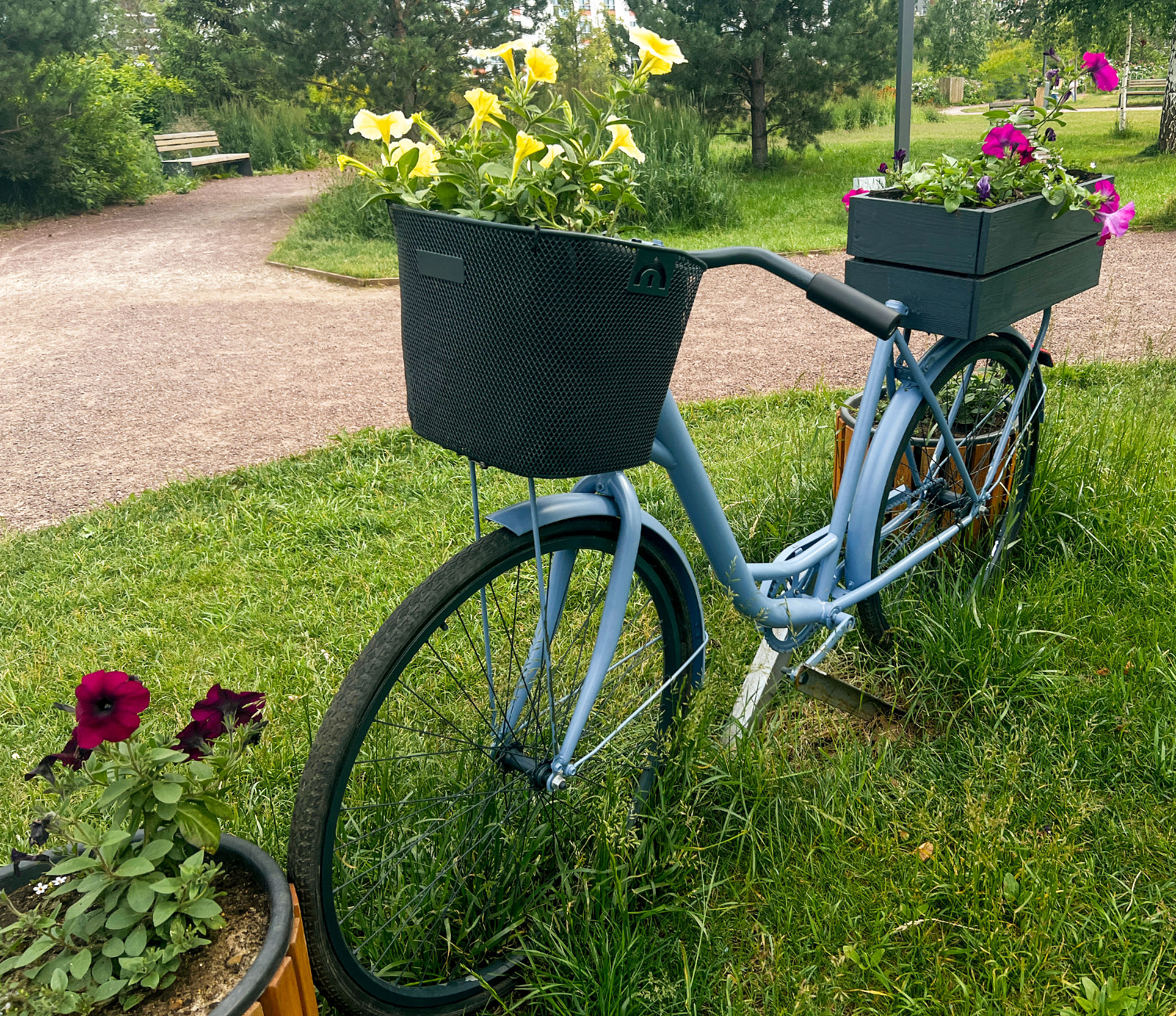 creative landscaping