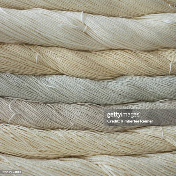 Square Thread Sample 1,830 Square Thread Stock Photos, High-Res Pictures, and Images - Getty ...