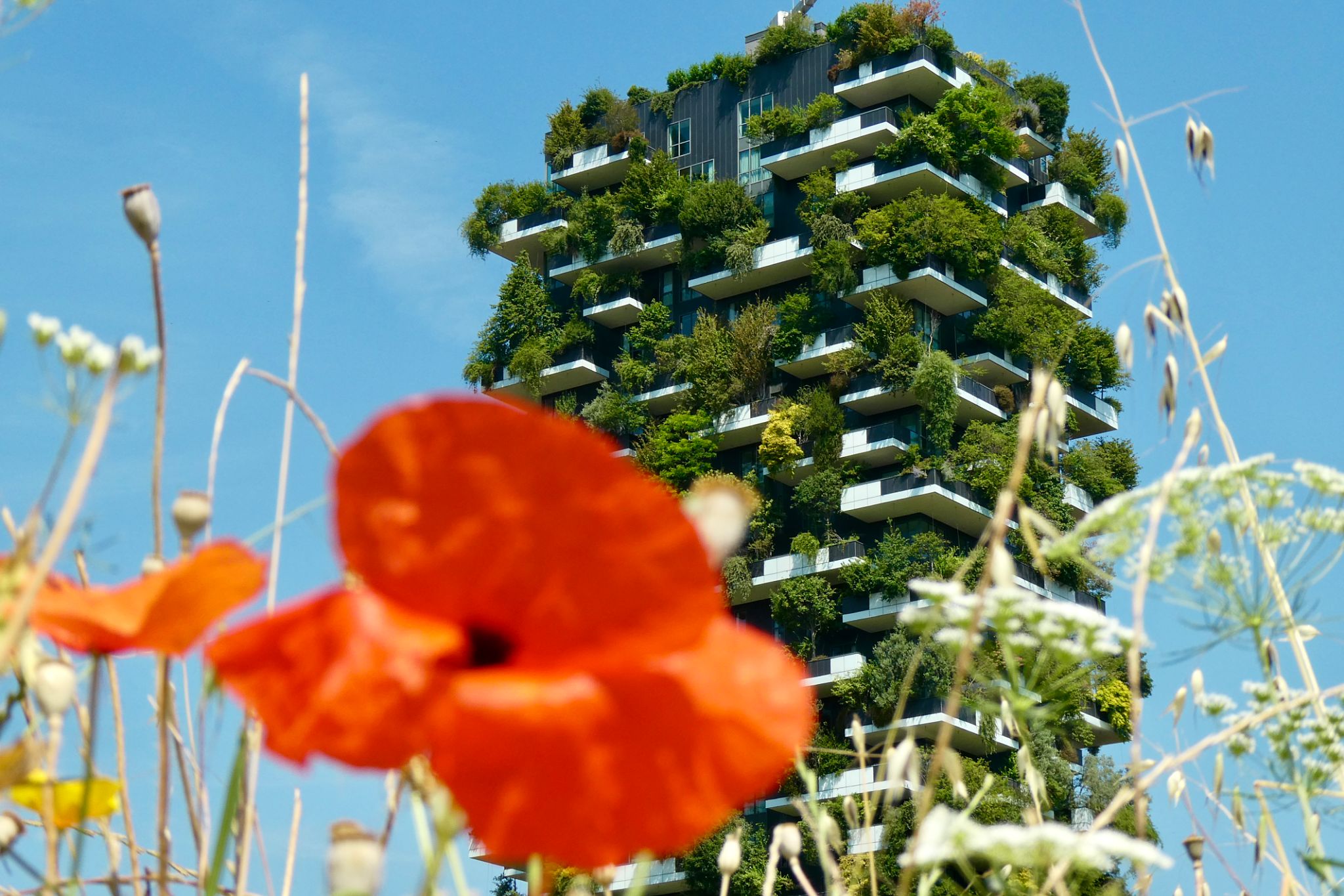 nature Milan