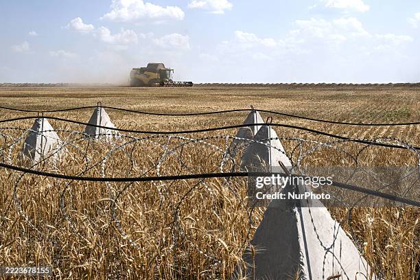 Combine harvester collects grain crops along the lines of pyramidal anti-tank obstacles and barbed wire in the field near Orikhiv, a city in the...