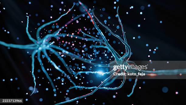 neuron system disease - epilepsia imagens e fotografias de stock