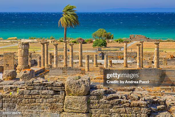 baelo claudia, baelo claudia, andalusia, spain - archaeology stock pictures, royalty-free photos & images