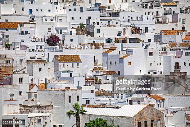 vejer de la frontera, andalusia, spain - provinz cadiz stock-fotos und bilder