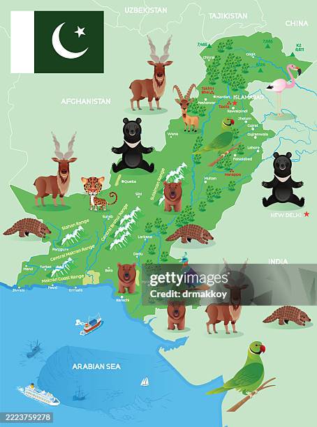 pakistan map - greater flamingo stock illustrations