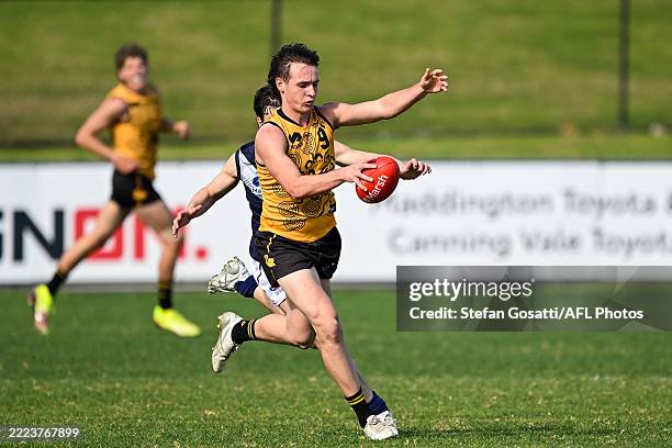 Fred Spring Perth 1,150 Perth Wetlands Stock Photos, High-Res Pictures, and Images ...
