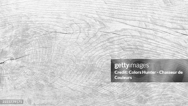 close-up of a textured and cracked wooden plank, painted and patinated white.sunlight. black and white.full frame 16x9.paris, france. - high key photos et images de collection