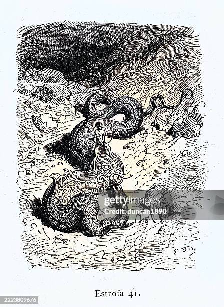 warrior fighting with giant serpent dragon, fantasy, mythology - snakes fighting stock illustrations