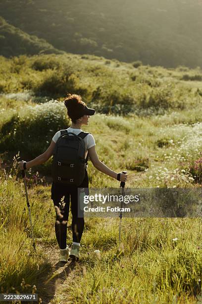 foto einer jungen und schönen bergsteigerin in einem blumenfeld, umgeben von hügeln. - spazierstock stock-fotos und bilder