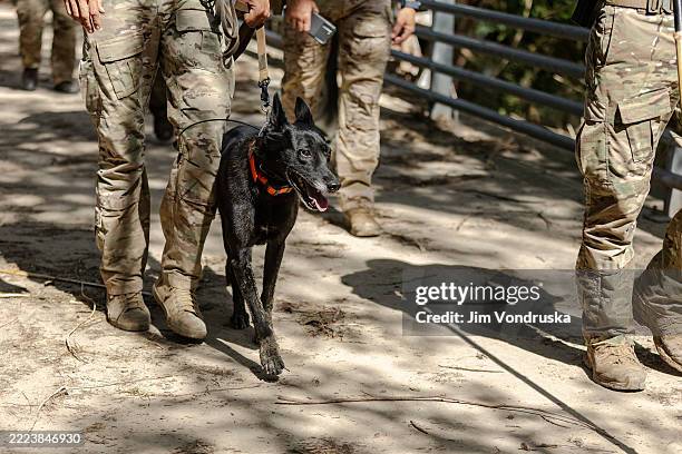 Customs and Border Patrol Agents use a cadaver dog to search through debris on the bank of the Guadalupe River during a search and recovery mission...