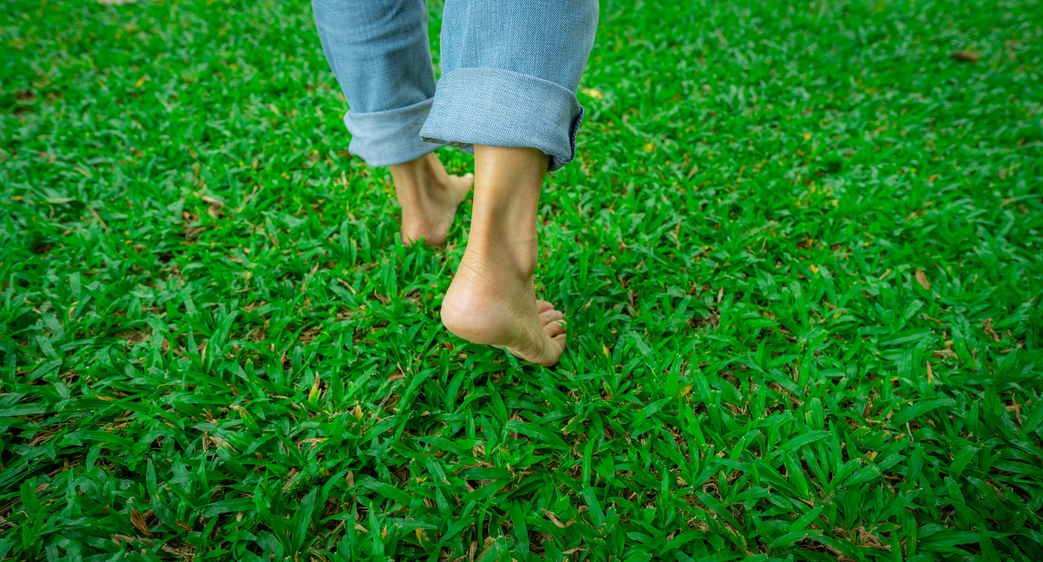 foot traffic lawn