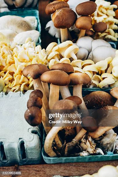 53 Shiitake Maitake Stock Photos and High-Res Images - Getty Images