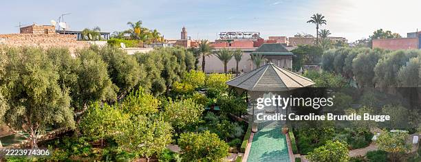 the secret garden, marrakech, morocco - orange tree stock pictures, royalty-free photos & images