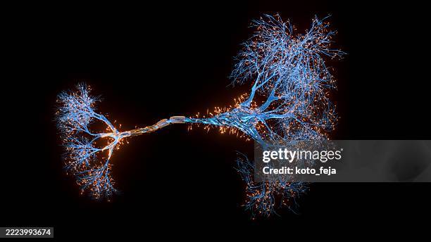 neuron system hologram - nervcell bildbanksfoton och bilder