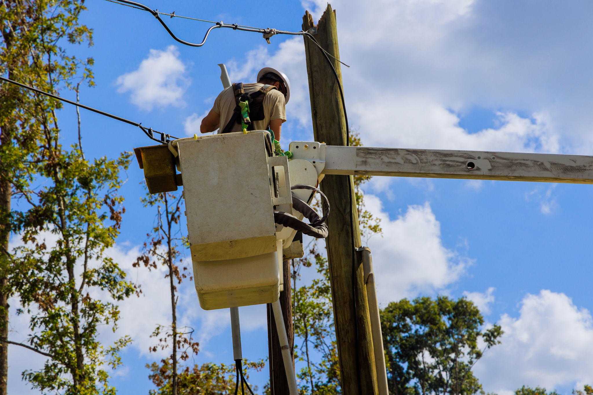 tree trimming safety