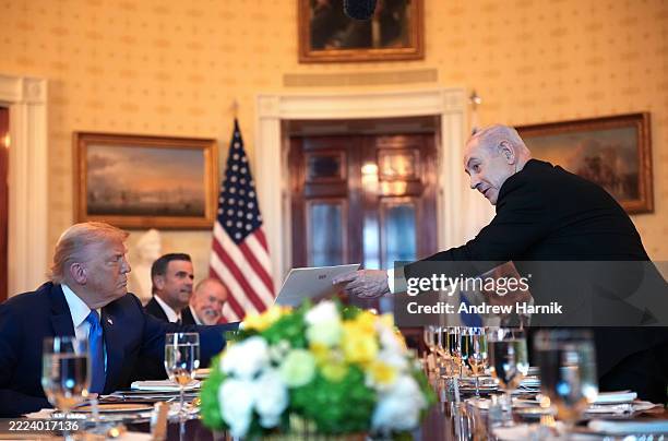 President Donald Trump host Israeli Prime Minister Benjamin Netanyahu for a dinner in the Blue Room of the White House on July 7 in Washington, DC....